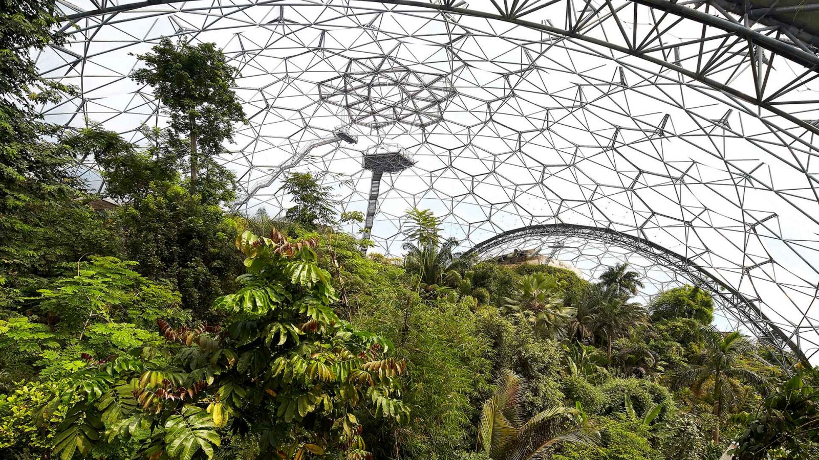 Eden Project 2015 ©hufton+crow 004