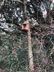 Bird-box