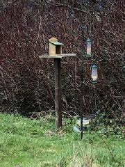 Bird-feeder