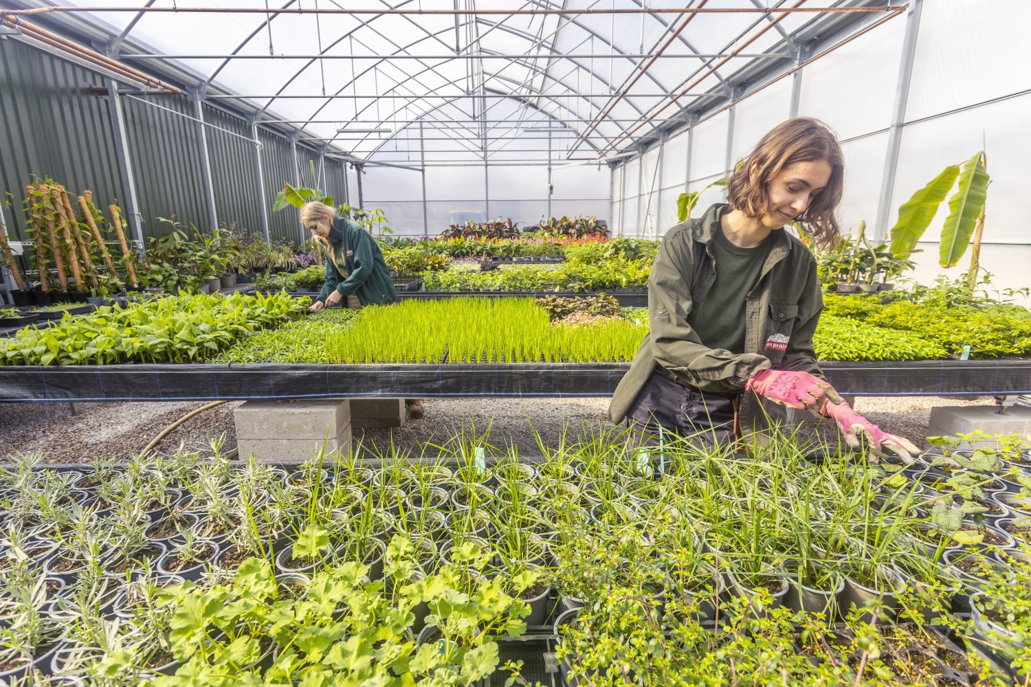 Eden Project Living Landscape team Annalice Line and Sofia Parra at Growing Point