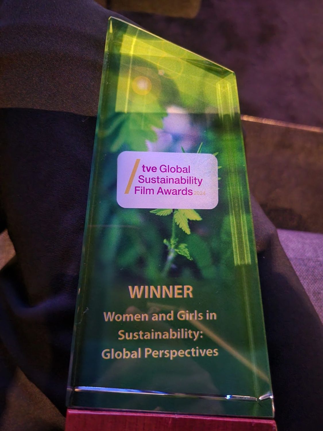Tve 2024 Women And Girls In Sustainability